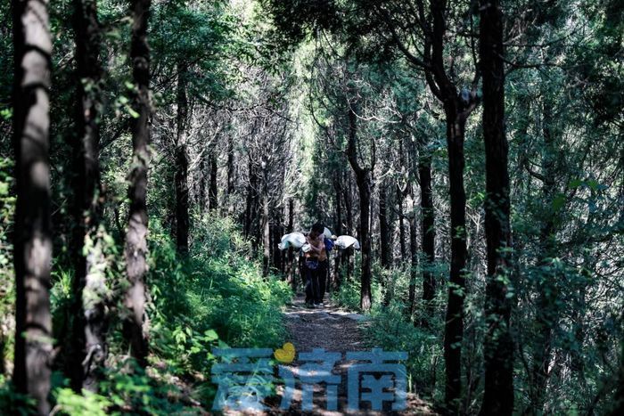 一副扁担百斤重：一肩扛烈日，一肩挑生活