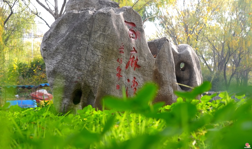 西麻湾：万壑争流 珠玑升腾