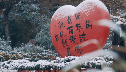 山东文旅·红叶柿岩旅游区面向全国人民公益免费开放！