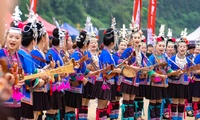 加载中...