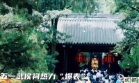 加载中...