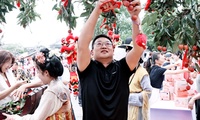 加载中...
