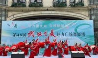 加载中...