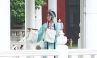 加载中...