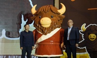 加载中...