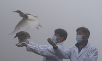 加载中...