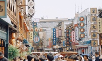 加载中...
