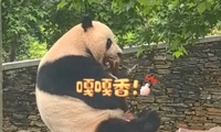 加载中...