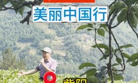 加载中...