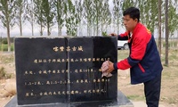 加载中...