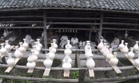 加载中...