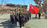加载中...