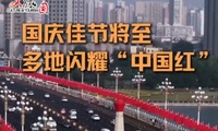 加载中...