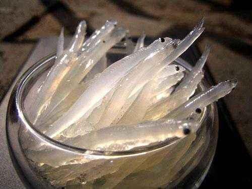 心灵四季 美丽中国| 白露:微凉秋日,适合江南太湖行