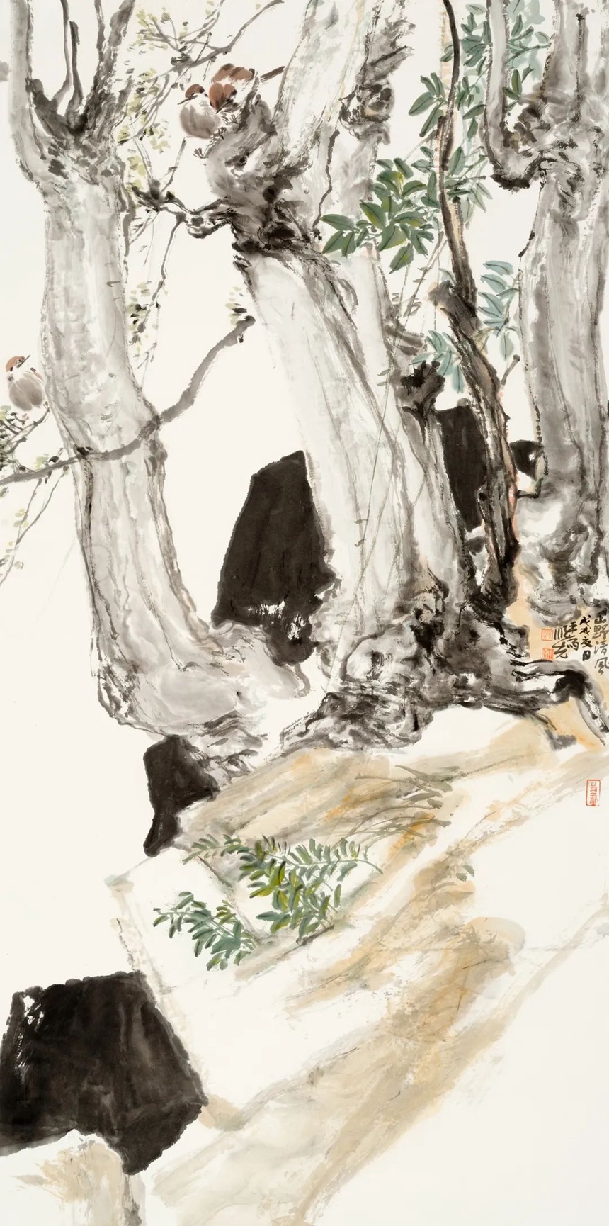 图片
